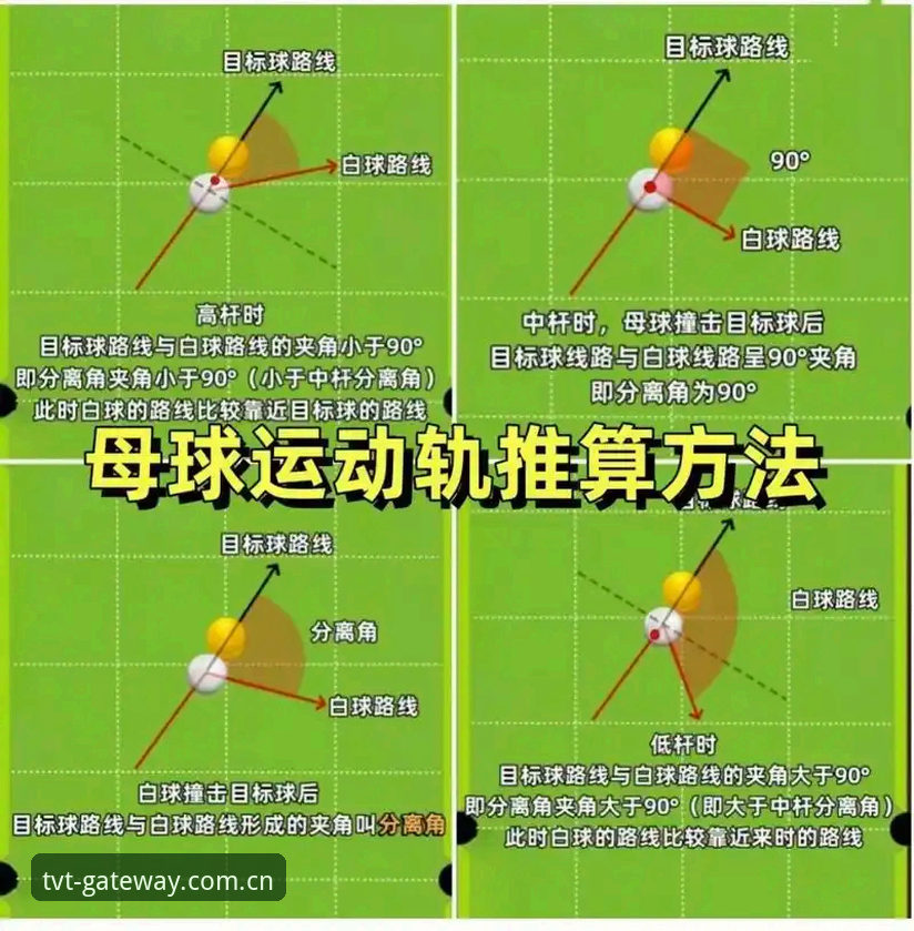 tvt体育比分刷新 tvt体育比分刷新操作教程:多端同步实战指南